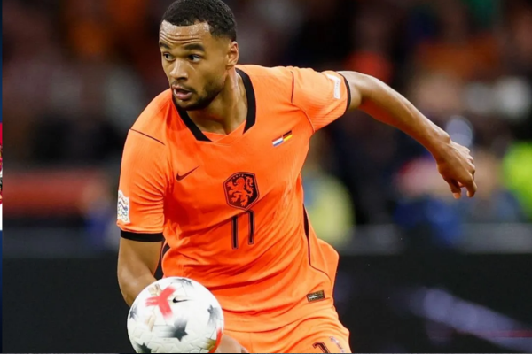 Serbia vs Netherlands
